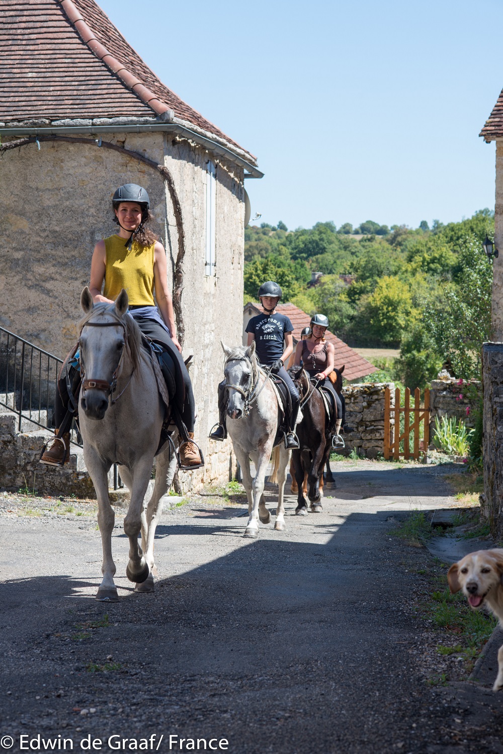 paardrijvakantie (Fijne paarden, lekker eten en een prachtige natuur) foto 2 paardrijvakantie (Fijne paarden, lekker eten en een prachtige natuur) foto 2